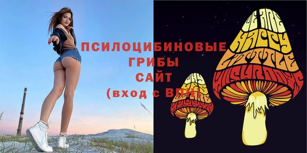 трава Богородицк